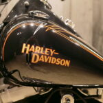 HARLEY-DAVIDSON　　　　　　　　　　　　　　　　　2010年 FLSTSB クロスボーンズ 1580