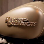 HARLEY-DAVIDSON　　　　　　　　　　　　　　　　FXBB ソフテイルストリートボブ
