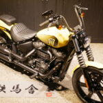 HARLEY-DAVIDSON　　　　　　　　　　　　　　　FXBBS ソフテイルストリートボブ114