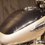 ROYAL ENFIELD　　　　　　　　　　　　　　　　メテオ350 AURORA 新車