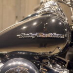 HARLEY-DAVIDSON　　　　　　　　　　　　　　　FLDE ソフテイルデラックス