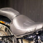 HARLEY-DAVIDSON　　　　　　　　　　　　　　　FLDE ソフテイルデラックス