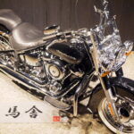 HARLEY-DAVIDSON　　　　　　　　　　　　　　　FLDE ソフテイルデラックス