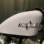 Thunder Motorcycles　　　　　　　　　　　　　　　　SoftailThunder250 新車