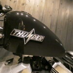 Thunder Motorcycles　　　　　　　　　　　　　　　　SoftailThunder250 新車