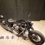 Thunder Motorcycles　　　　　　　　　　　　　　　　Hardtail Thunder250 新車