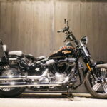 HARLEY-DAVIDSON　　　　　　　　　　　　　　　FLSTSB クロスボーンズ