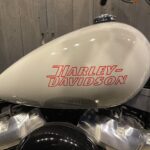 HARLEY-DAVIDSON　　　　　　　　　　　　　　　FXSTソフテイルスタンダード