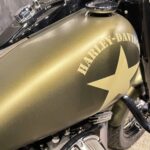 HARLEY-DAVIDSON　　　　　　　　　　　　　　　FLSS ソフテイルスリムS