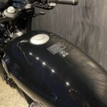 BENDA　　　　　　　　　　　　　　　　　　　　　ナポレオン ボブ 250