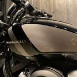 MORBIDELLI　　　　　　　　　　　　　　　　　　　C252V