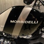 MORBIDELLI　　　　　　　　　　　　　　　　　　　C252V