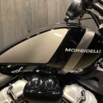 MORBIDELLI　　　　　　　　　　　　　　　　　　　C252V