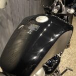MORBIDELLI　　　　　　　　　　　　　　　　　　　C252V