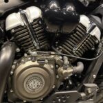 MORBIDELLI　　　　　　　　　　　　　　　　　　　C252V