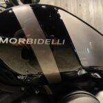 MORBIDELLI　　　　　　　　　　　　　　　　　　　C252V