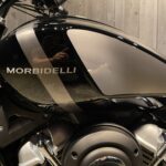 MORBIDELLI　　　　　　　　　　　　　　　　　　　C252V