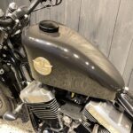 Thunder Motorcycles　　　　　　　　　　　　　　　　SoftailThunder250 New Model 新車