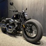 Thunder Motorcycles　　　　　　　　　　　　　　　　SoftailThunder250 New Model 新車