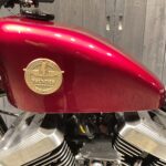 Thunder Motorcycles　　　　　　　　　　　　　　　　Softail Thunder250 New Model 新車