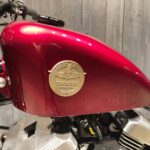 Thunder Motorcycles　　　　　　　　　　　　　　　　Softail Thunder250 New Model 新車