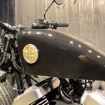 Thunder Motorcycles　　　　　　　　　　　　　　　　Hardtail Thunder250 New Model 新車
