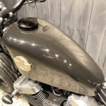 Thunder Motorcycles　　　　　　　　　　　　　　　　Hardtail Thunder250 New Model 新車