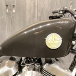 Thunder Motorcycles　　　　　　　　　　　　　　　　Hardtail Thunder250 New Model 新車