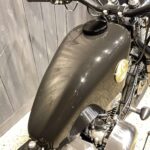 Thunder Motorcycles　　　　　　　　　　　　　　　　Hardtail Thunder250 New Model 新車