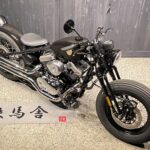 Thunder Motorcycles　　　　　　　　　　　　　　　　Hardtail Thunder250 New Model 新車
