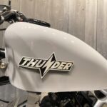 Thunder Motorcycles　　　　　　　　　　　　　　　　Hardtail Thunder250 新車