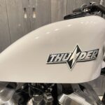 Thunder Motorcycles　　　　　　　　　　　　　　　　Hardtail Thunder250 新車