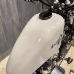 Thunder Motorcycles　　　　　　　　　　　　　　　　Hardtail Thunder250 新車