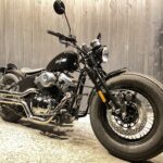 Thunder Motorcycles　　　　　　　　　　　　　　　　Softail Thunder250 新車