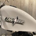 Thunder Motorcycles　　　　　　　　　　　　　　　　Softail Thunder250 新車