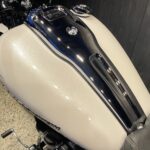 HARLEY-DAVIDSON　　　　　　　　　　　　　　　FXBR ソフテイル ブレイクアウト