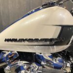 HARLEY-DAVIDSON　　　　　　　　　　　　　　　FXBR ソフテイル ブレイクアウト